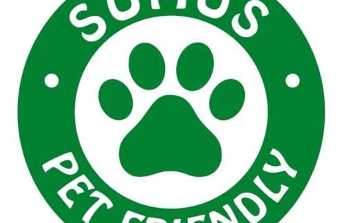 On the beach! Frente al Paseo Marítimo, Parking y Piscina - Photo 7