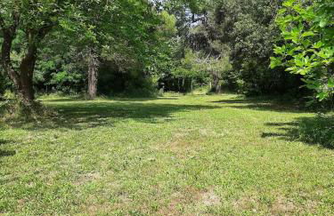 Accommodation in Sant'Erasmo Venice 3 - Foto 11