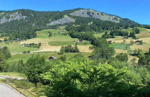 Chalets des Evettes- appartement vue montagne - Foto 3