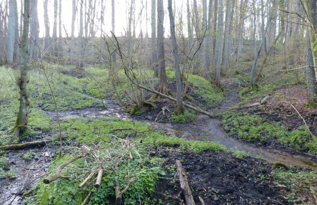 Fine Stuuv Comfortable Holiday Residence - Foto 25