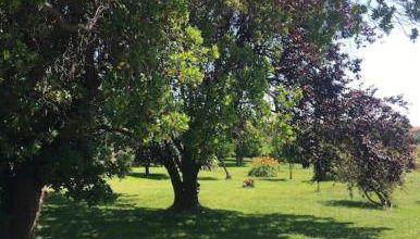 Villa santa karina - Foto 3, Garden view