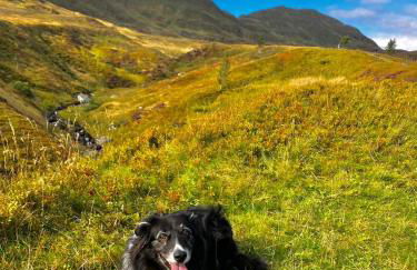 Stringy Rocks - Foto 19