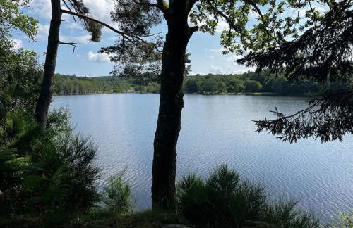 Gîte au bord du lac - Photo 34