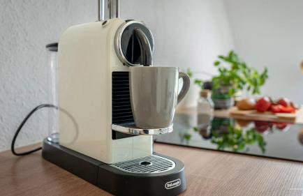 XXL Design-Appartement Gardendesign Boxspring 8 Pers Zwischen Heidelberg und Mannheim - Foto 15