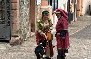 Nibelungen 4 Zimmer Apartment - Foto 67