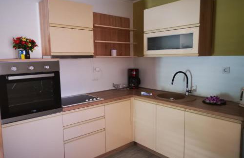 Apartment Ivan - Photo 10