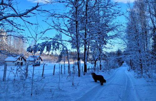 Domki nad stawem w Harszu - Foto 10