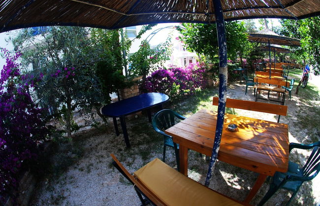 Hotel Anna - Photo 41