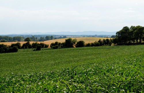 the abberton shepherds hut - Foto 13