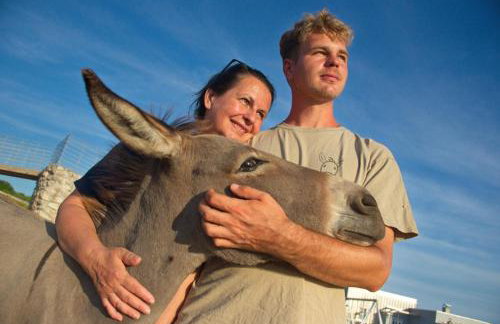 Villa Suzi - Family Farm Stay with Donkeys, Pool and Sea View near Rijeka - Photo 4