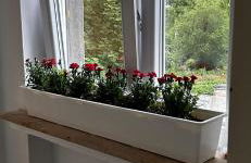 Ferienwohnung in Detmold - Foto 8