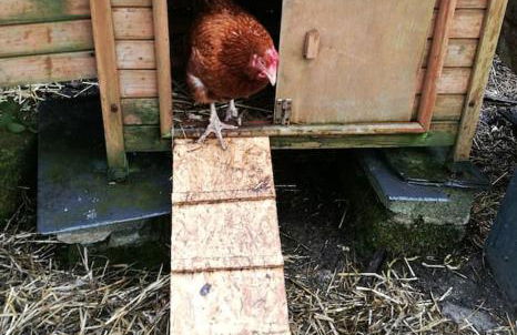 The Cwtsh at Ffynnon Clun: unique. - Photo 8