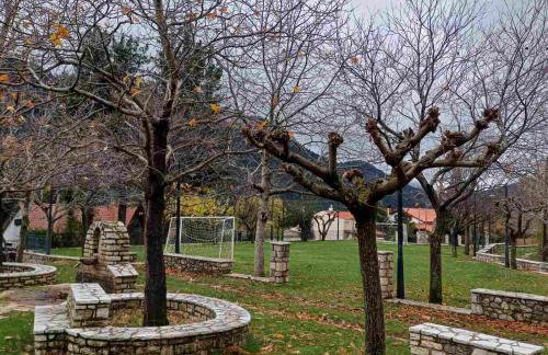 Vrachni Stone House - Foto 17