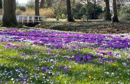 Kleine Burg Ovelgönne - Foto 49