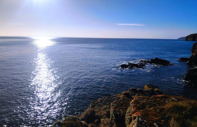 Bespoke Hand Built Shepherds Hut in Dunbeath - Foto 12