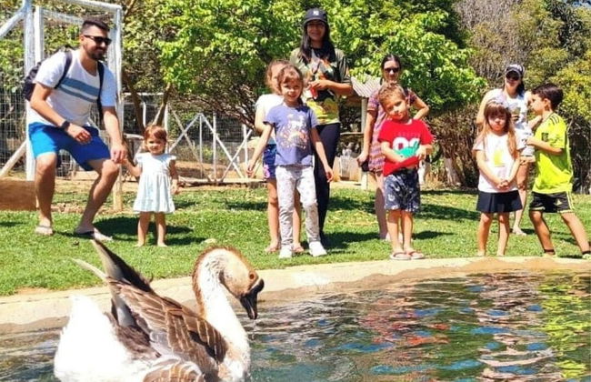 Hotel Fazenda Brisa Itu - Photo 31