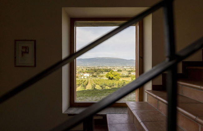 Classic Villa for Family With Pets - Photo 3