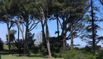 Bastide Juliana - Foto 2, Garden