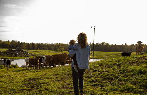 Cisza żurawi - Foto 22