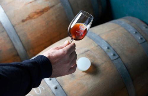 Tenuta San Vito In Fior Di Selva - Foto 107