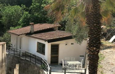 La casa degli Ulivi - Photo 17