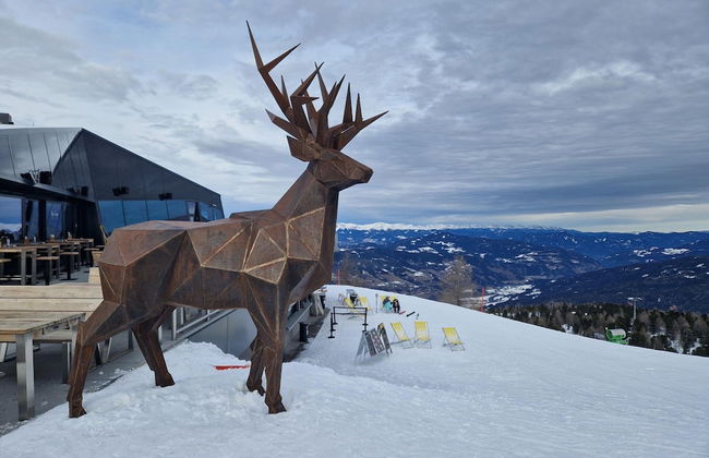 Apartment in St. Lambrecht Near ski Area - Foto 19