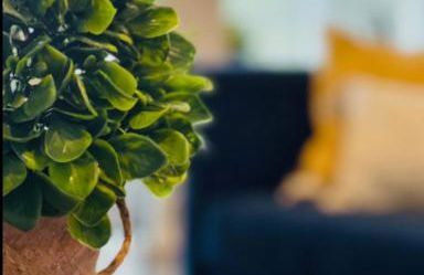 Evie's Campus-close 2 bedroom luxury - Foto 69