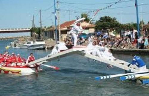 Béréa - Les Cormorans - Vue port et mer - Foto 3