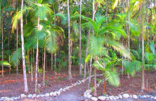 Refúgio dos Valdenses - Photo 44