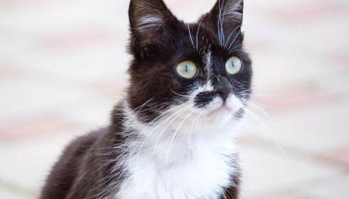 Grub-Daniel-Hof - Foto 5