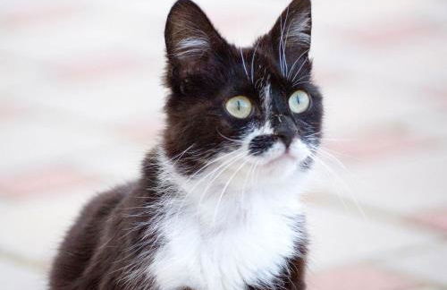 Grub-Daniel-Hof - Foto 5