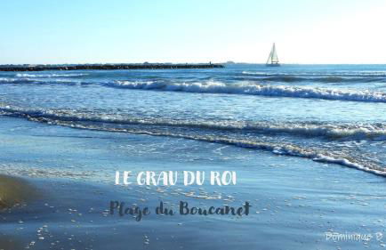 Studio cabine climatisé rez de jardin plage 150m Boucanet - Photo 6