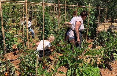 Agrikies Country Retreat - Foto 44