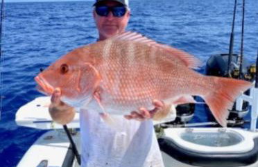 Venice Florida near beach - Foto 23