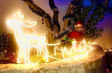 Apartments Dajčić - Foto 57