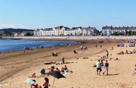 Devoncourt Monthly Rentals - Photo 25