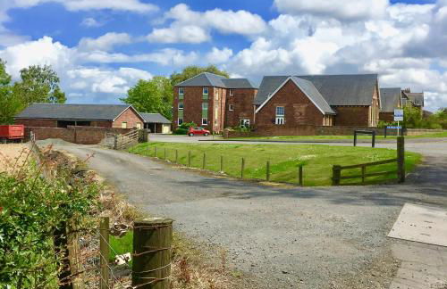 The Little Beech Tree - Foto 32