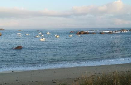 Appartement RDC de maison principale - Foto 1