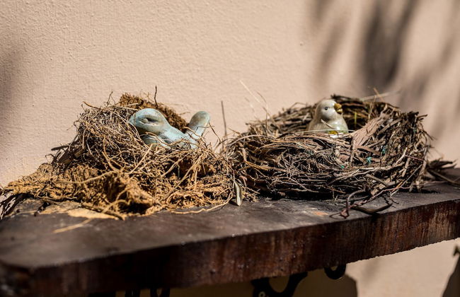 The Olive House - Photo 17