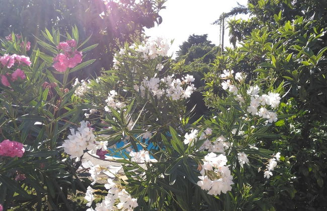 Arr Bida Sea Country Side Villa - Foto 28