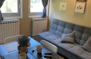 Ski Apartment - Foto 1