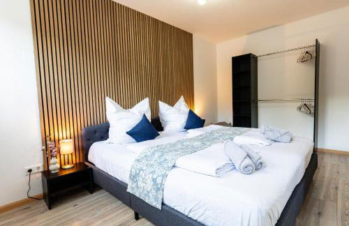 Fe Wo Europa Park - Rulantica-Straßburg - Colmar - Klimaanlage- Wallbox - Foto 46