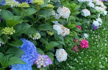 Giardini MAGNOLIA - Foto 46