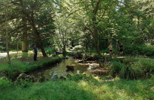 Maison individuelle avec terrasse Nogent sur Marne - Foto 18