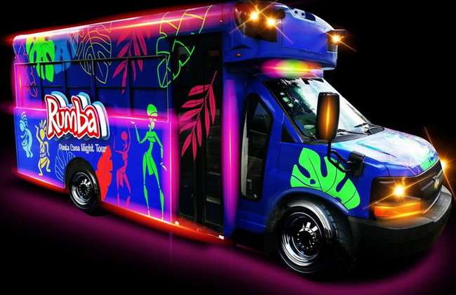 Rumba Punta Cana Night Tour - Foto 1