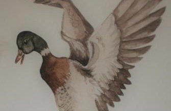 Jaskółcze Gniazdo - Foto 17