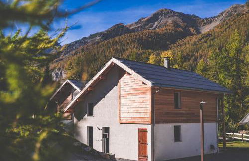 Ski et Détente Les Orres 1650 Animaux OK - Photo 36