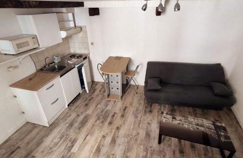 Hypercentre, proche halage et rue principale - Foto 12