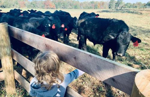 Farm living at it's best! - Foto 60