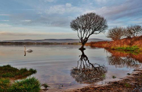 Swallow Cottage - Foto 40